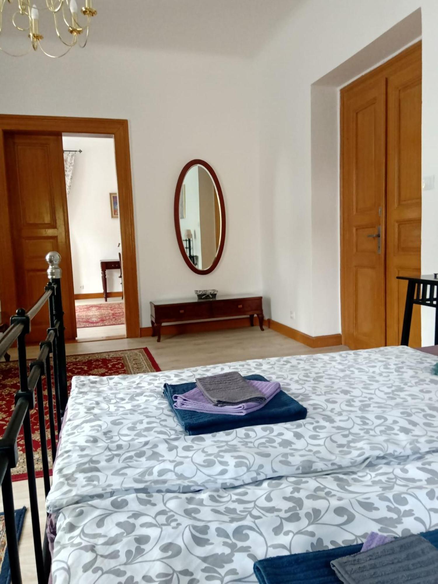 Historic Apartment Prag