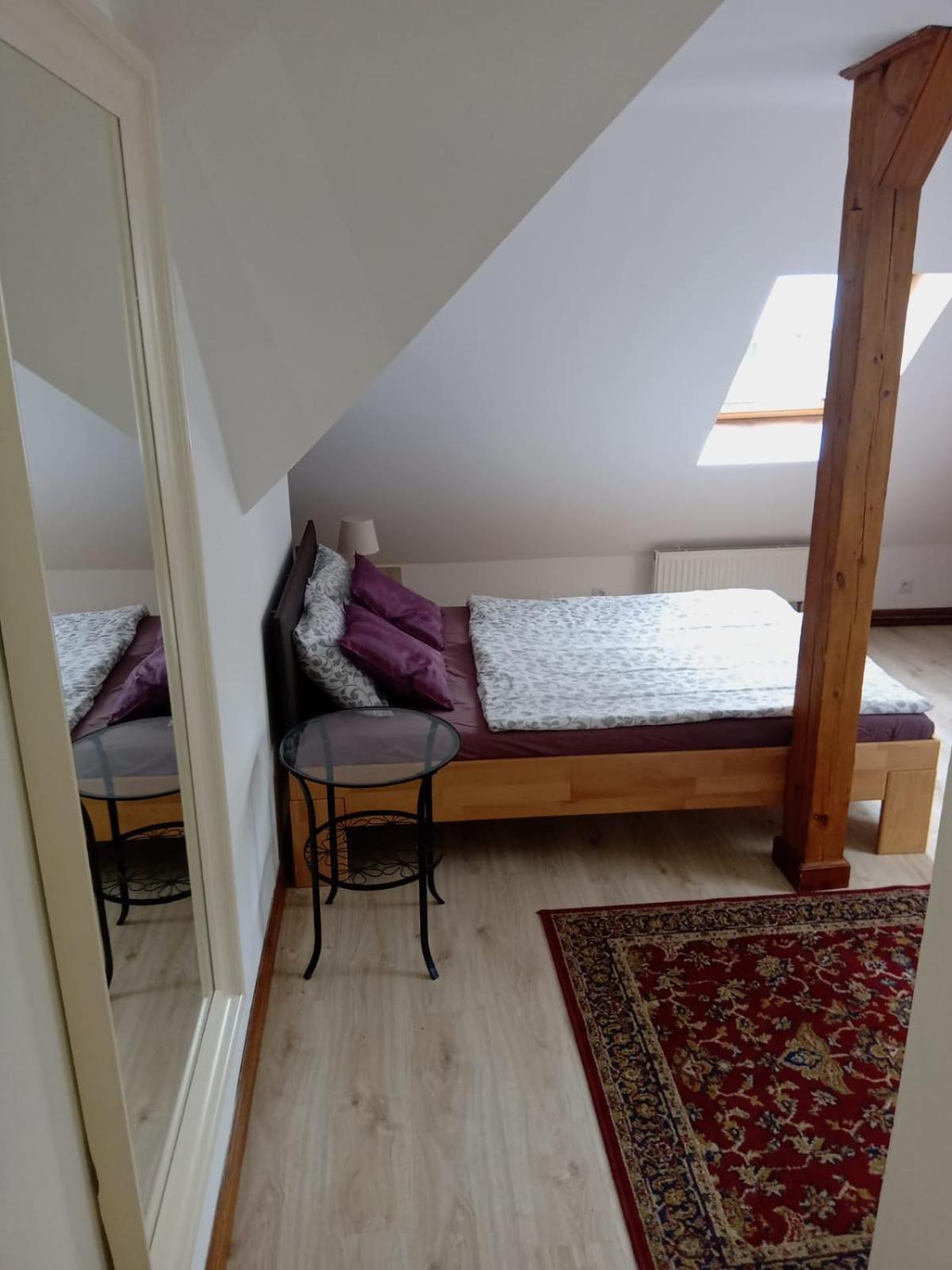 Historic Apartment Prag