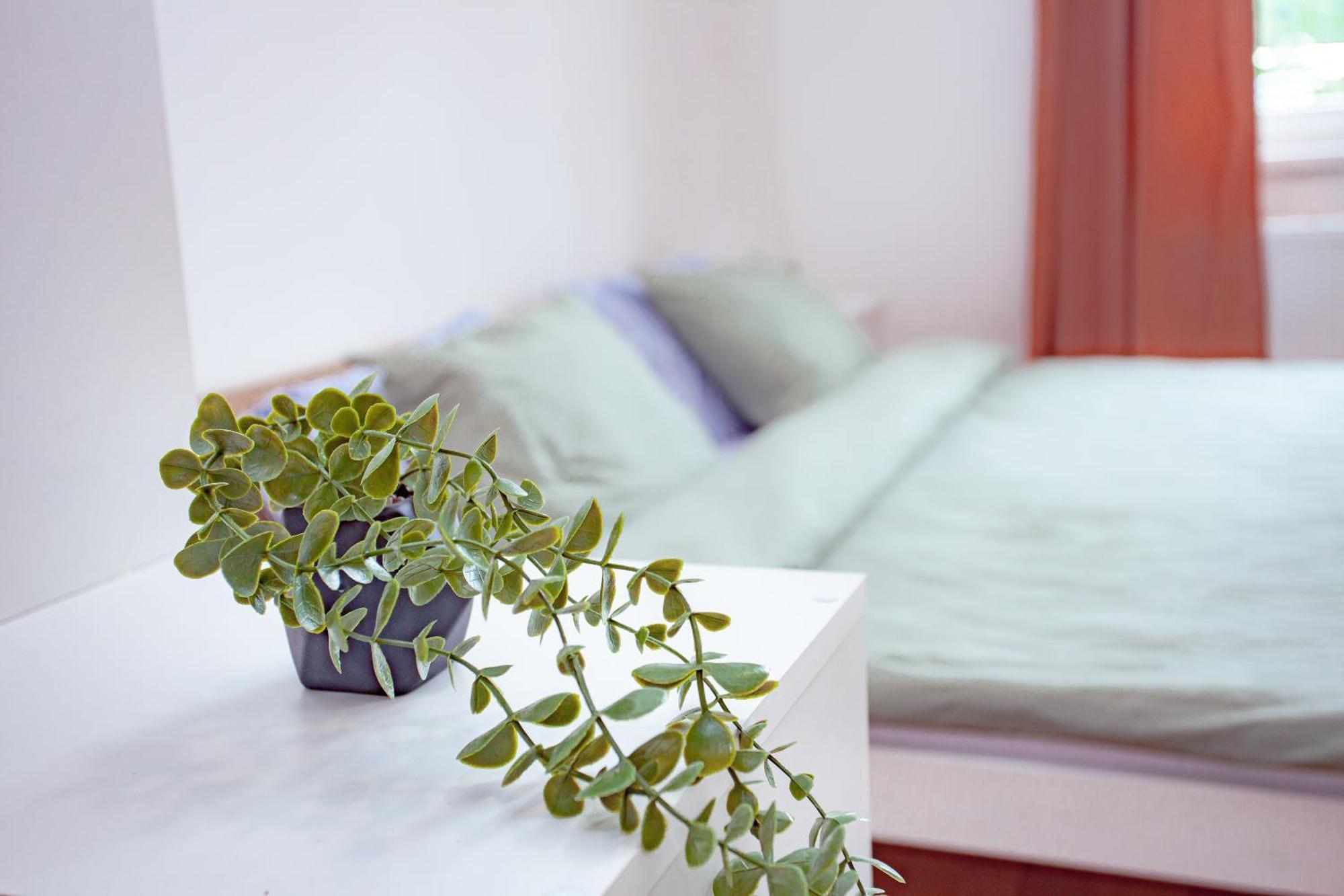 Elegance Apartment *