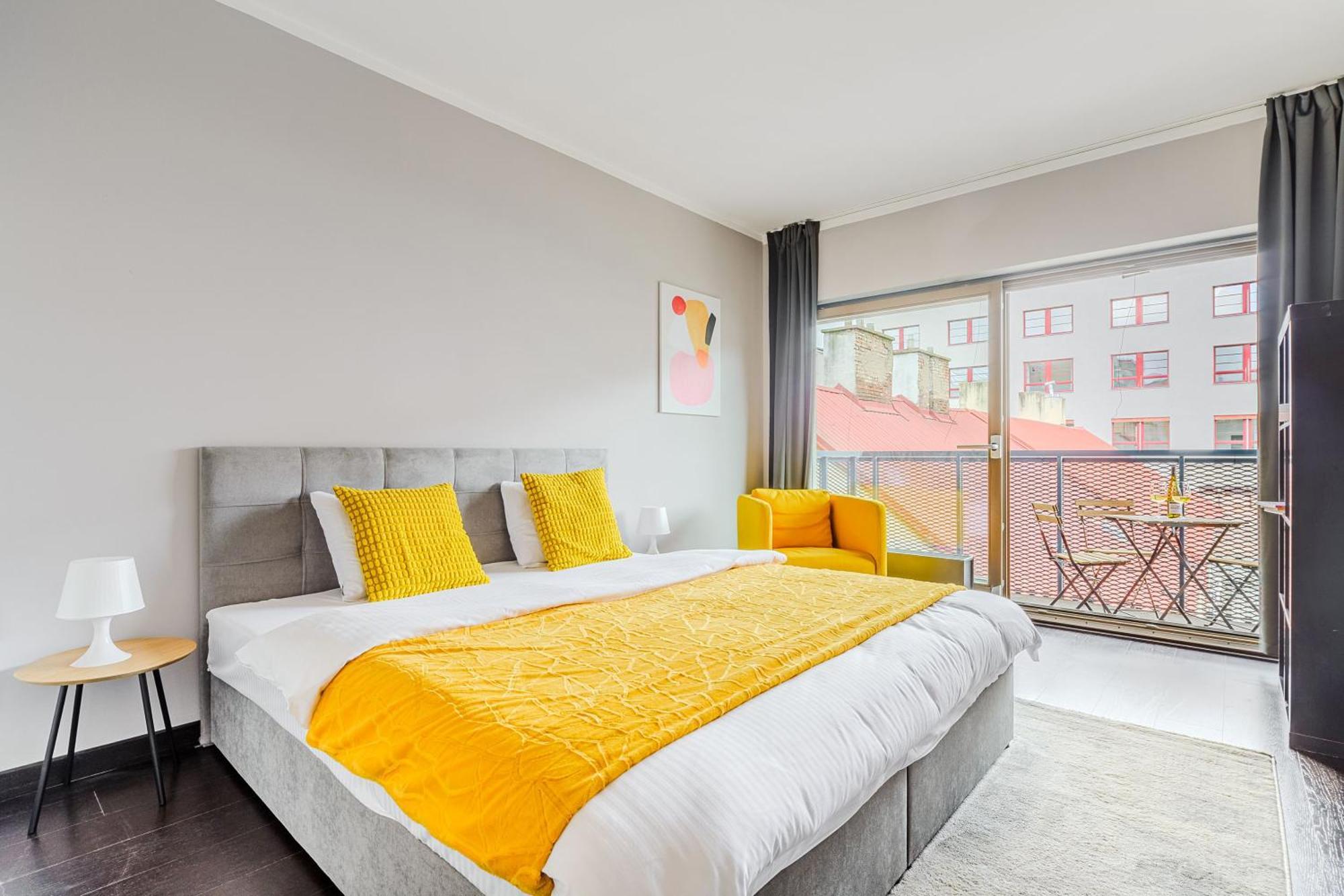 Spacious Near Karlin Square Prag