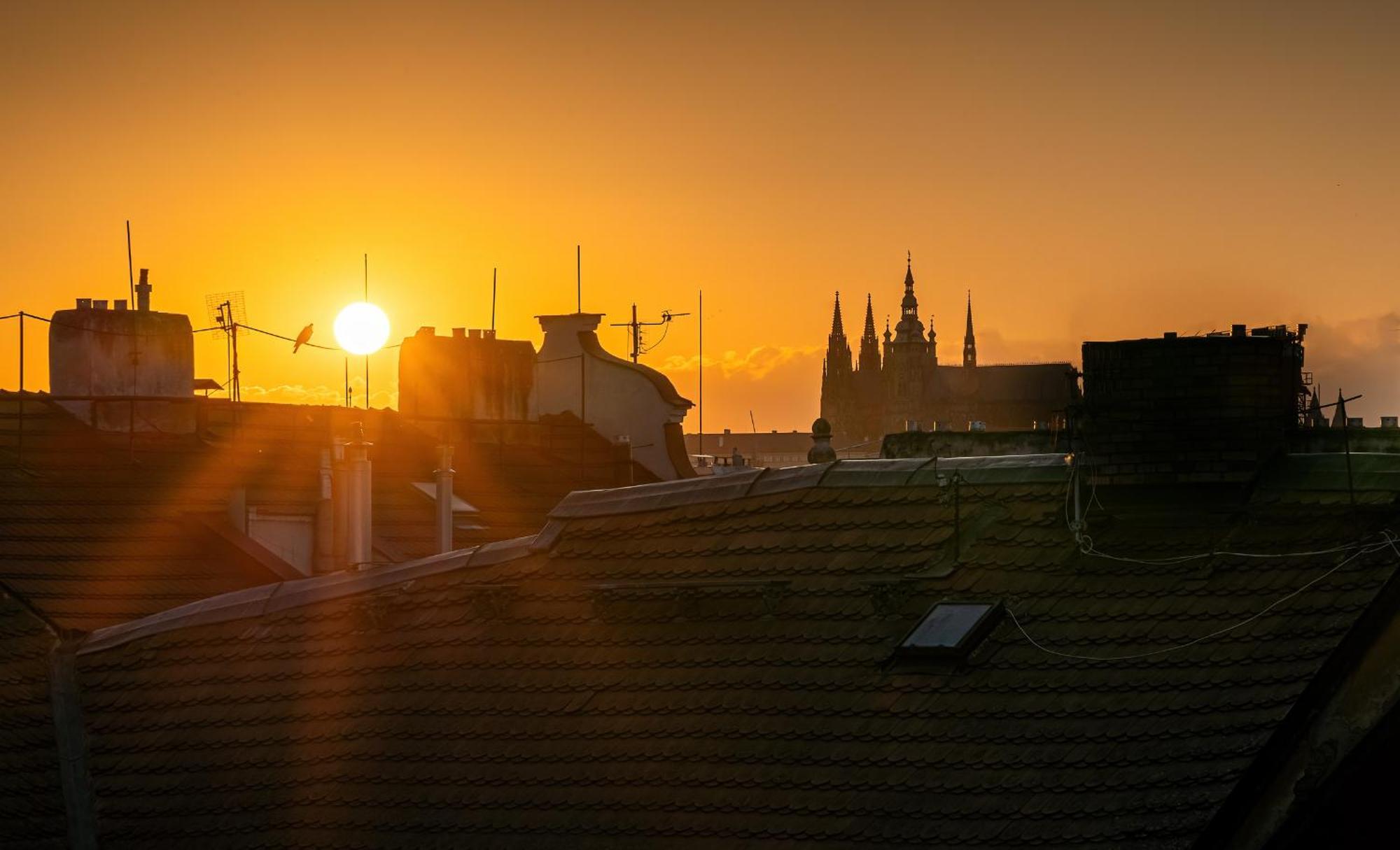 Michal&michael's Prag