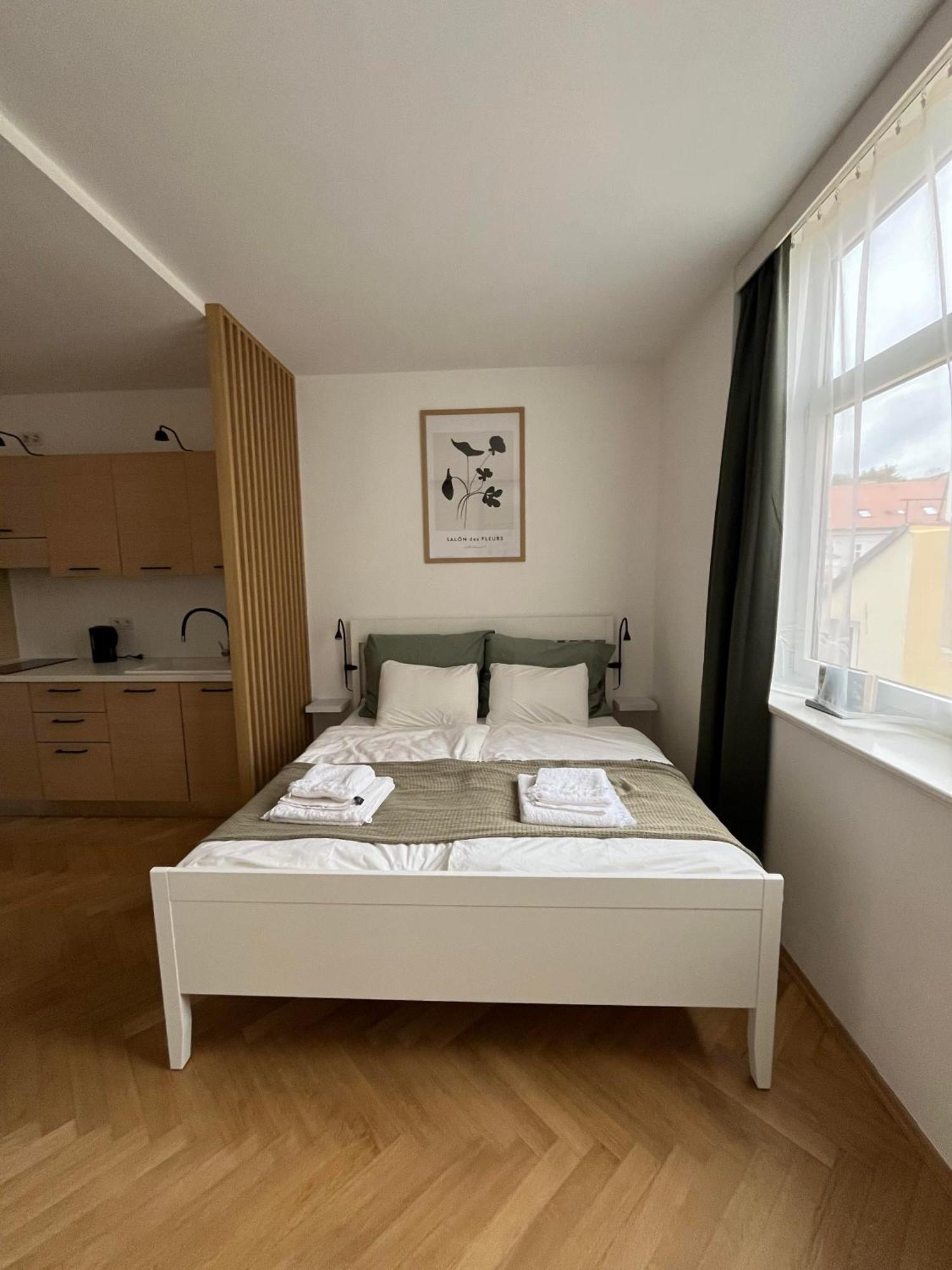 Apartment Brand New Studio In The Center Prag