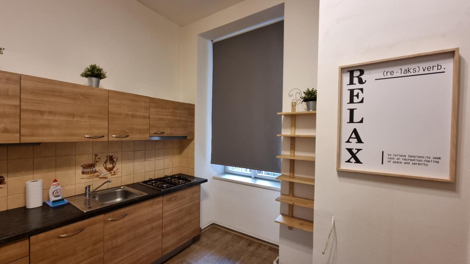 Apartment Krakovska 20 *