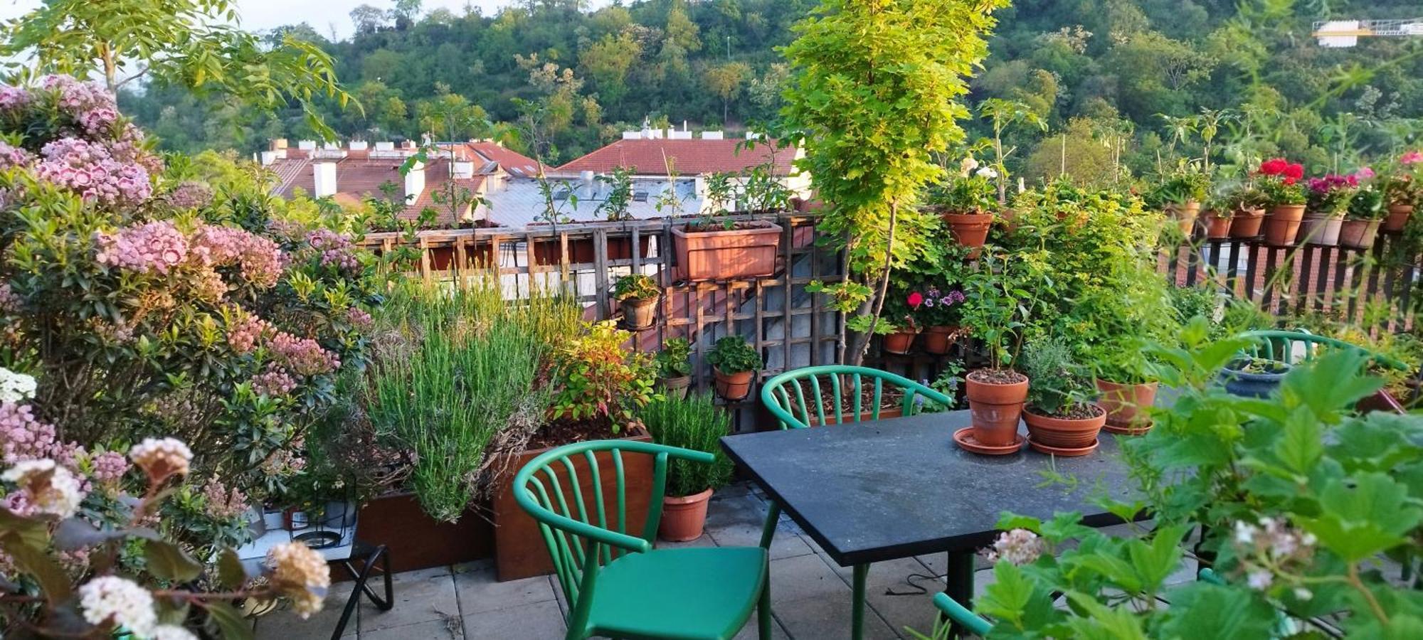 Guestrooms, Rooftop With Garden, Spacious Living Room, Character And Fireplace * Prag