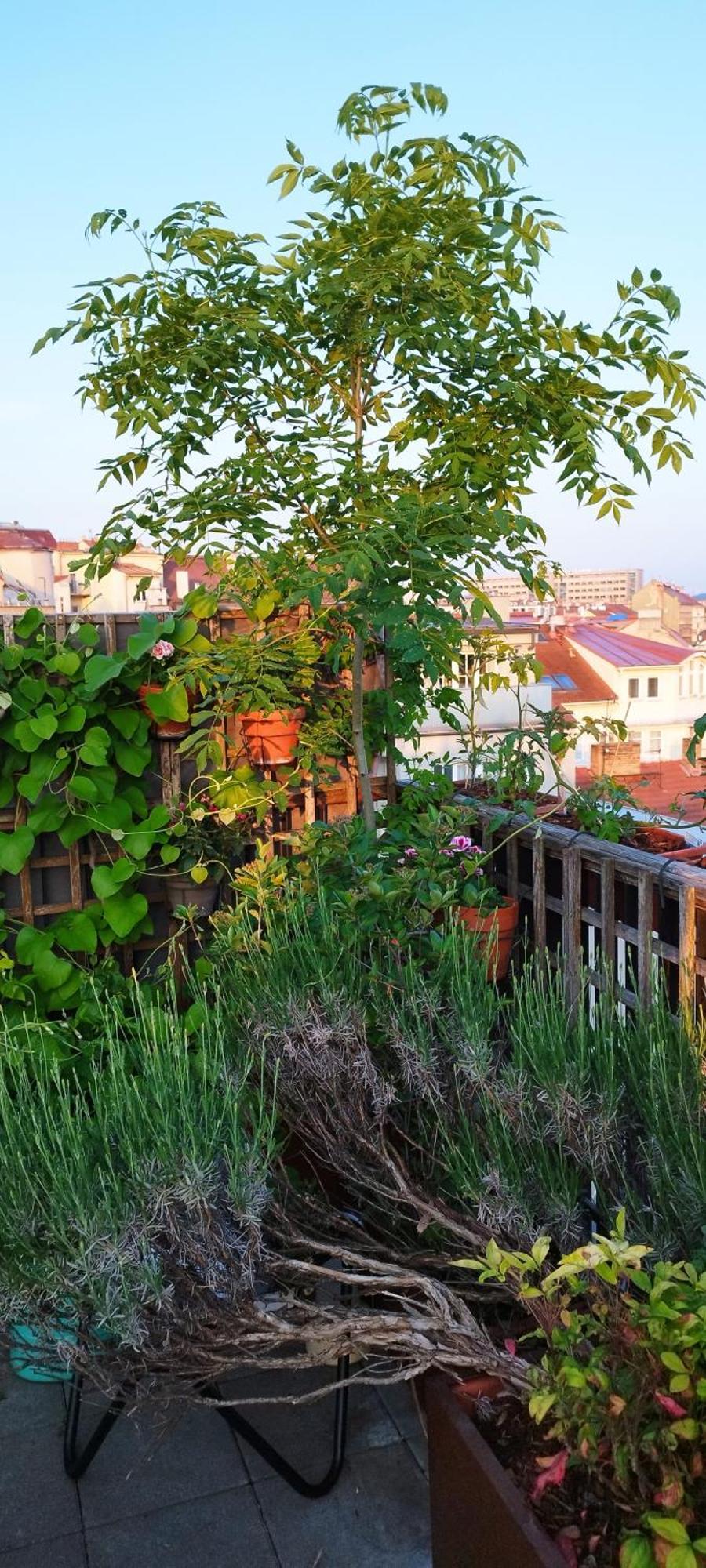 Gæstehus Guestrooms, Rooftop With Garden, Spacious Living Room, Character And Fireplace