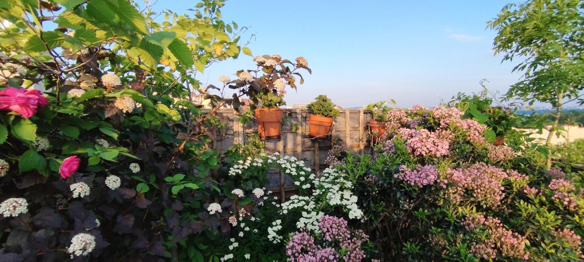 Guestrooms, Rooftop With Garden, Spacious Living Room, Character And Fireplace Prag