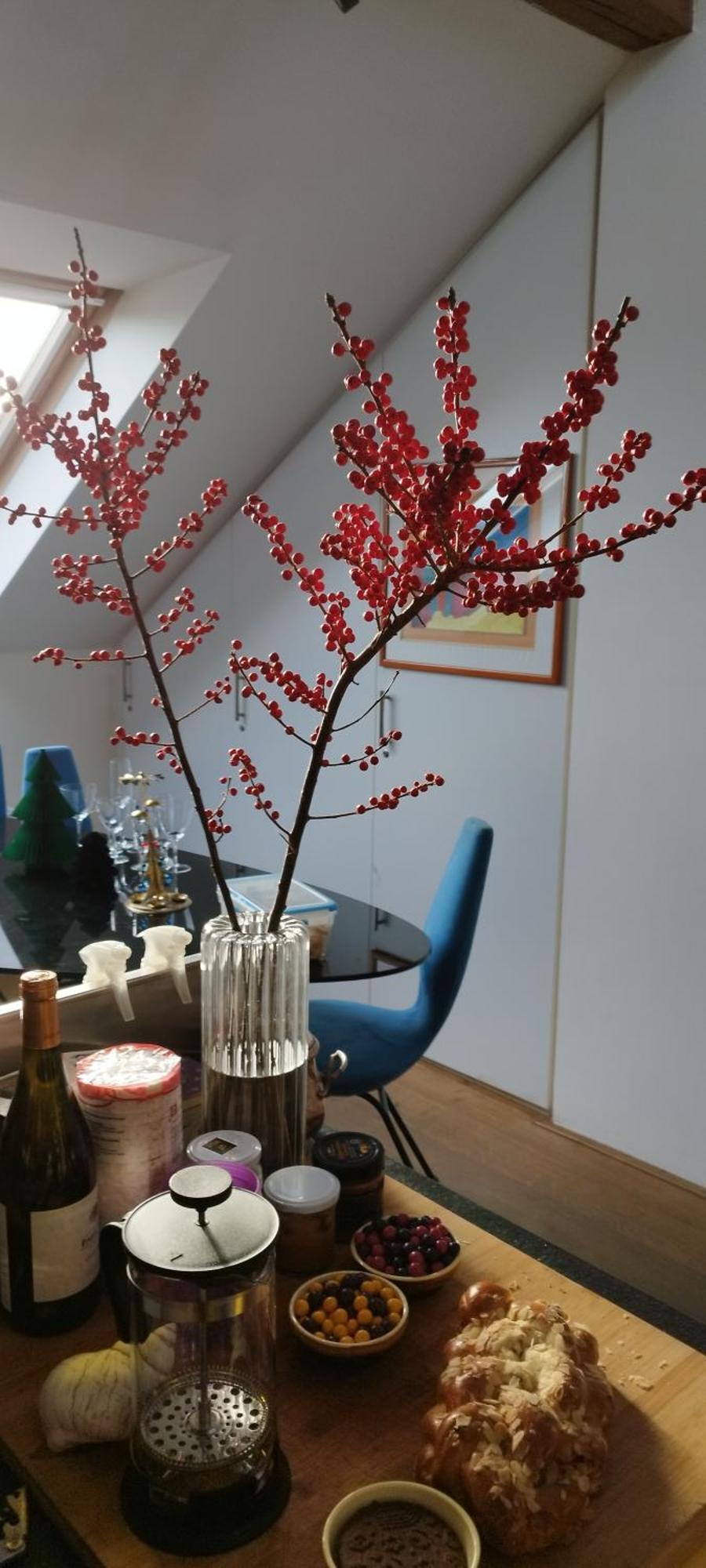 Guestrooms, Rooftop With Garden, Spacious Living Room, Character And Fireplace * Prag
