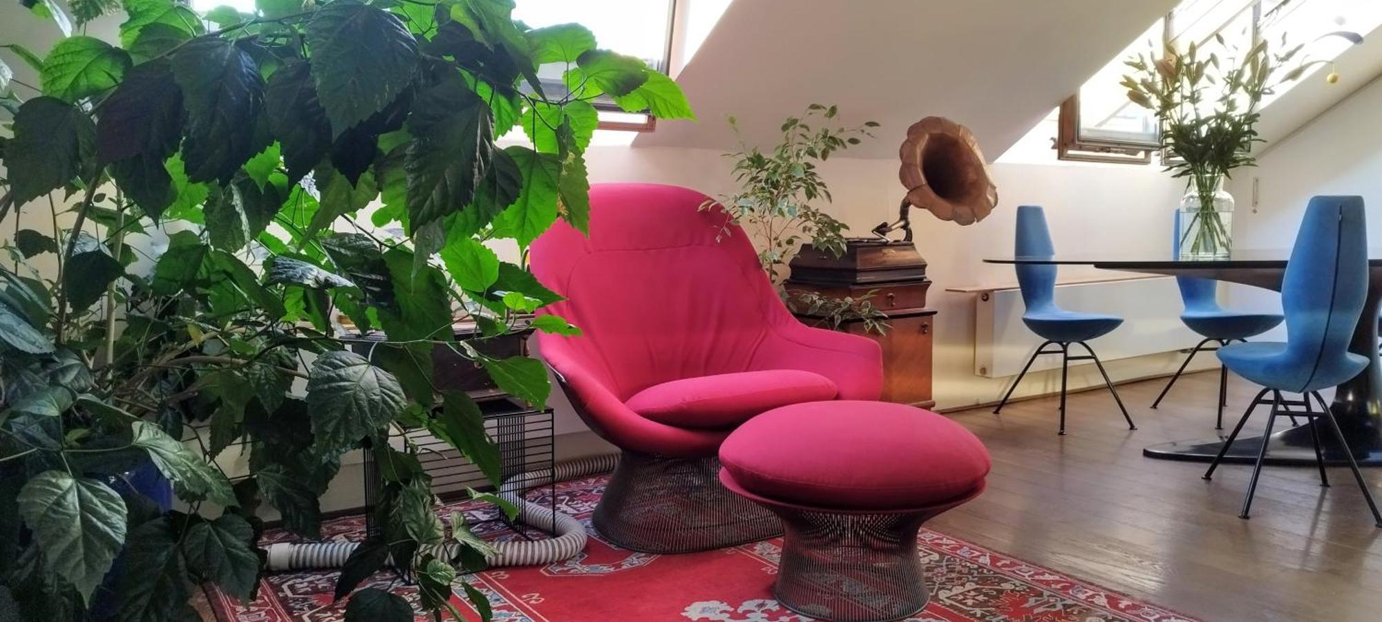 Guestrooms, Rooftop With Garden, Spacious Living Room, Character And Fireplace Gæstehus