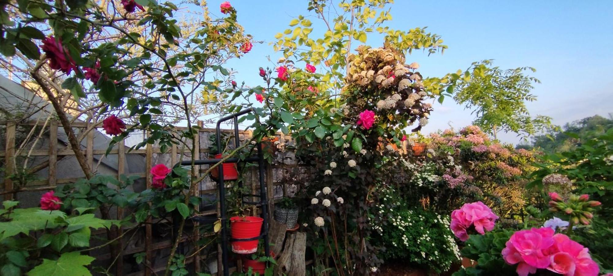 Guestrooms, Rooftop With Garden, Spacious Living Room, Character And Fireplace * Prag