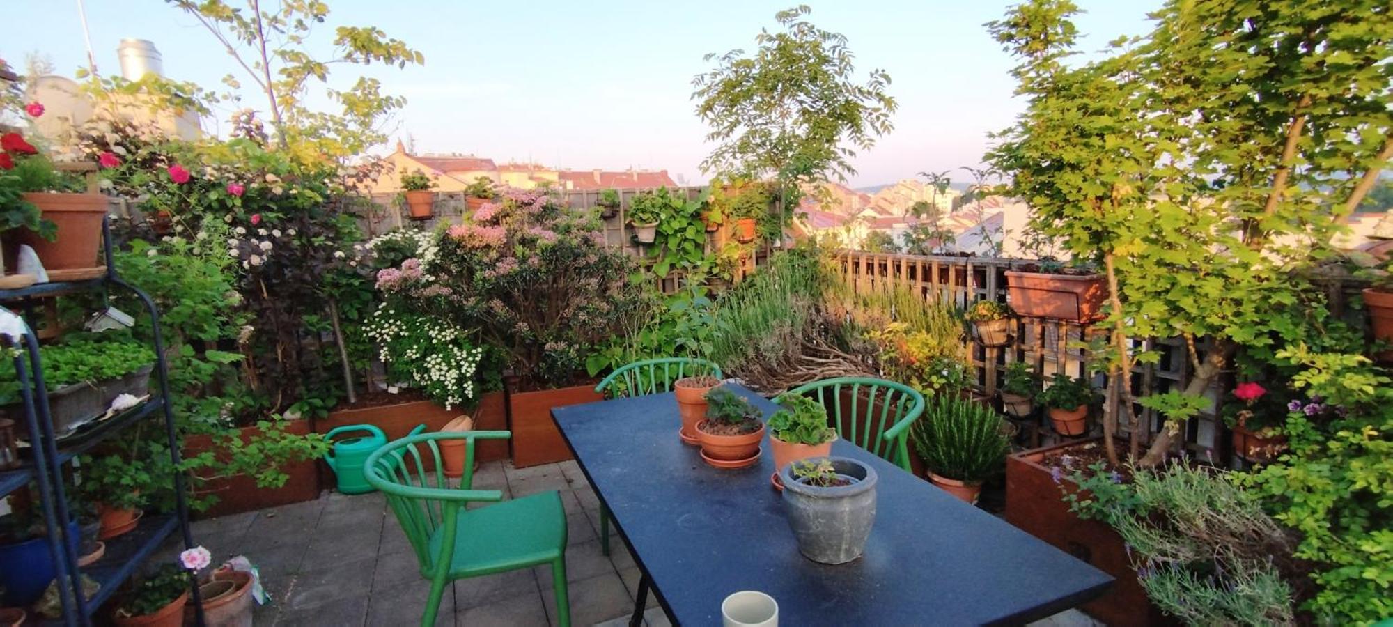 Guestrooms, Rooftop With Garden, Spacious Living Room, Character And Fireplace Gæstehus