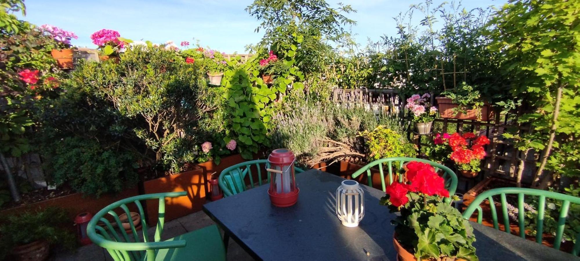 Gæstehus Guestrooms, Rooftop With Garden, Spacious Living Room, Character And Fireplace