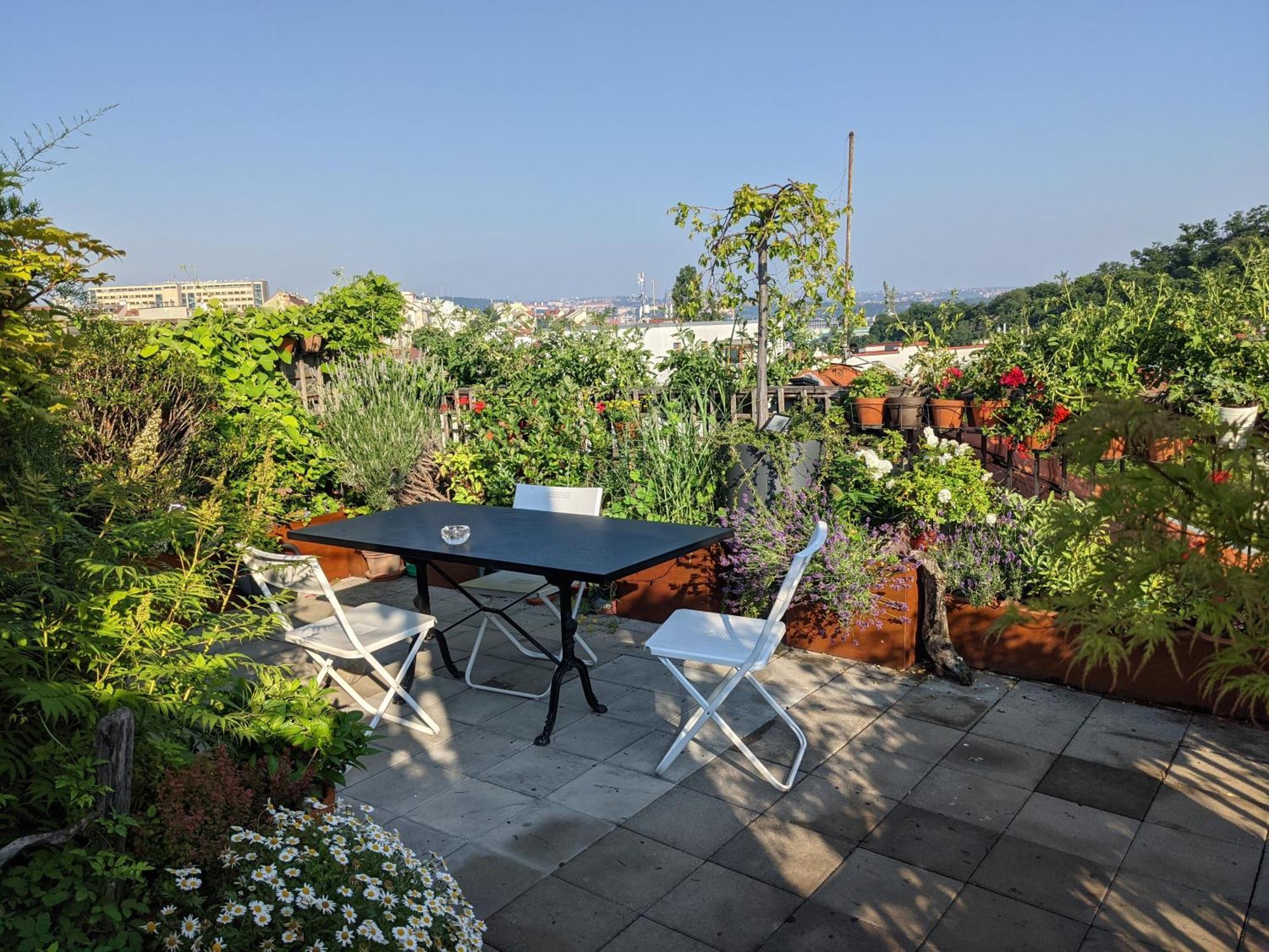 Guestrooms, Rooftop With Garden, Spacious Living Room, Character And Fireplace Gæstehus