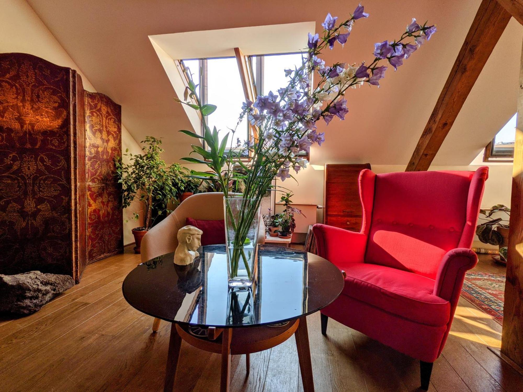 Guestrooms, Rooftop With Garden, Spacious Living Room, Character And Fireplace Prag