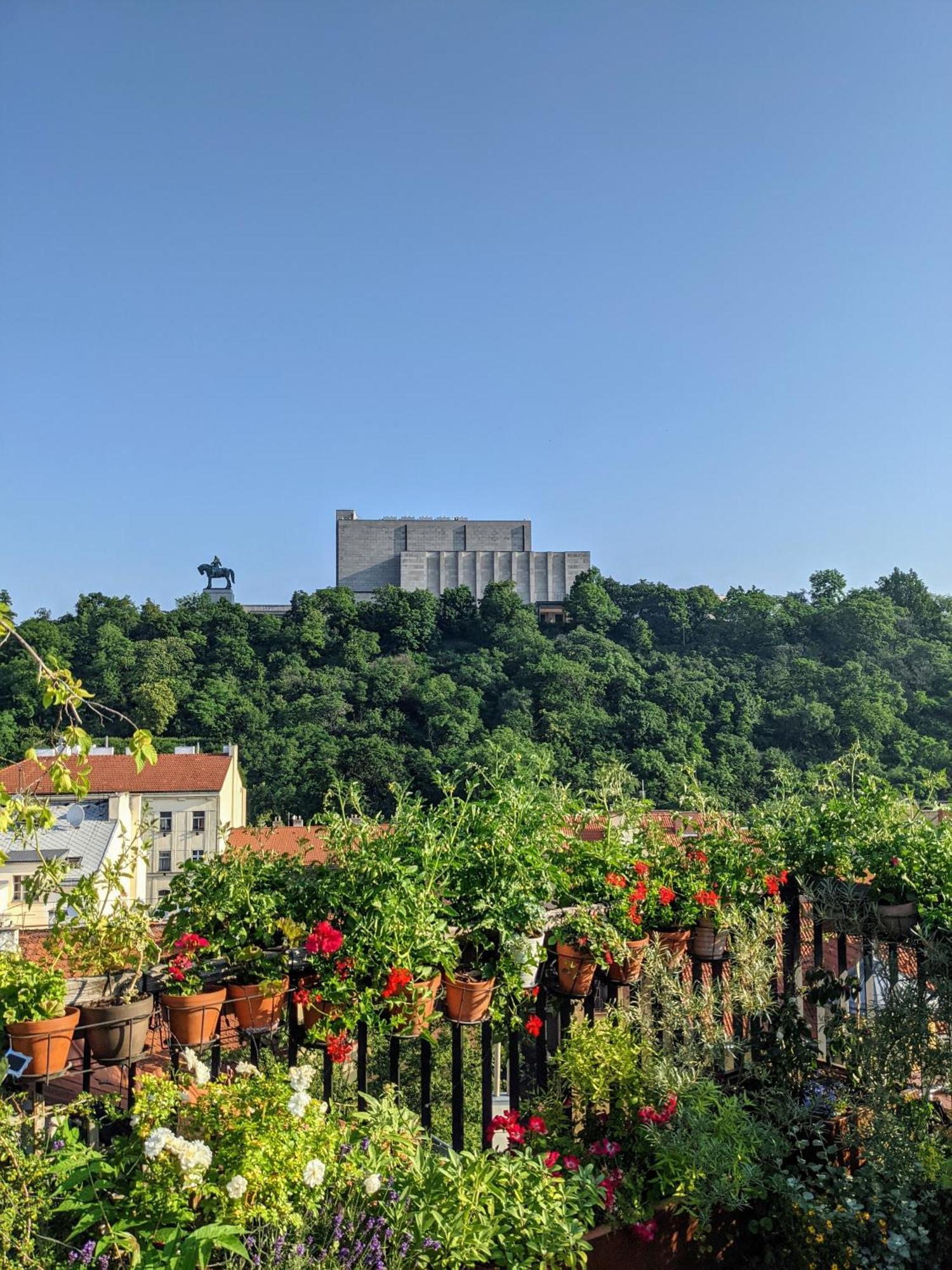 Guestrooms, Rooftop With Garden, Spacious Living Room, Character And Fireplace * Prag