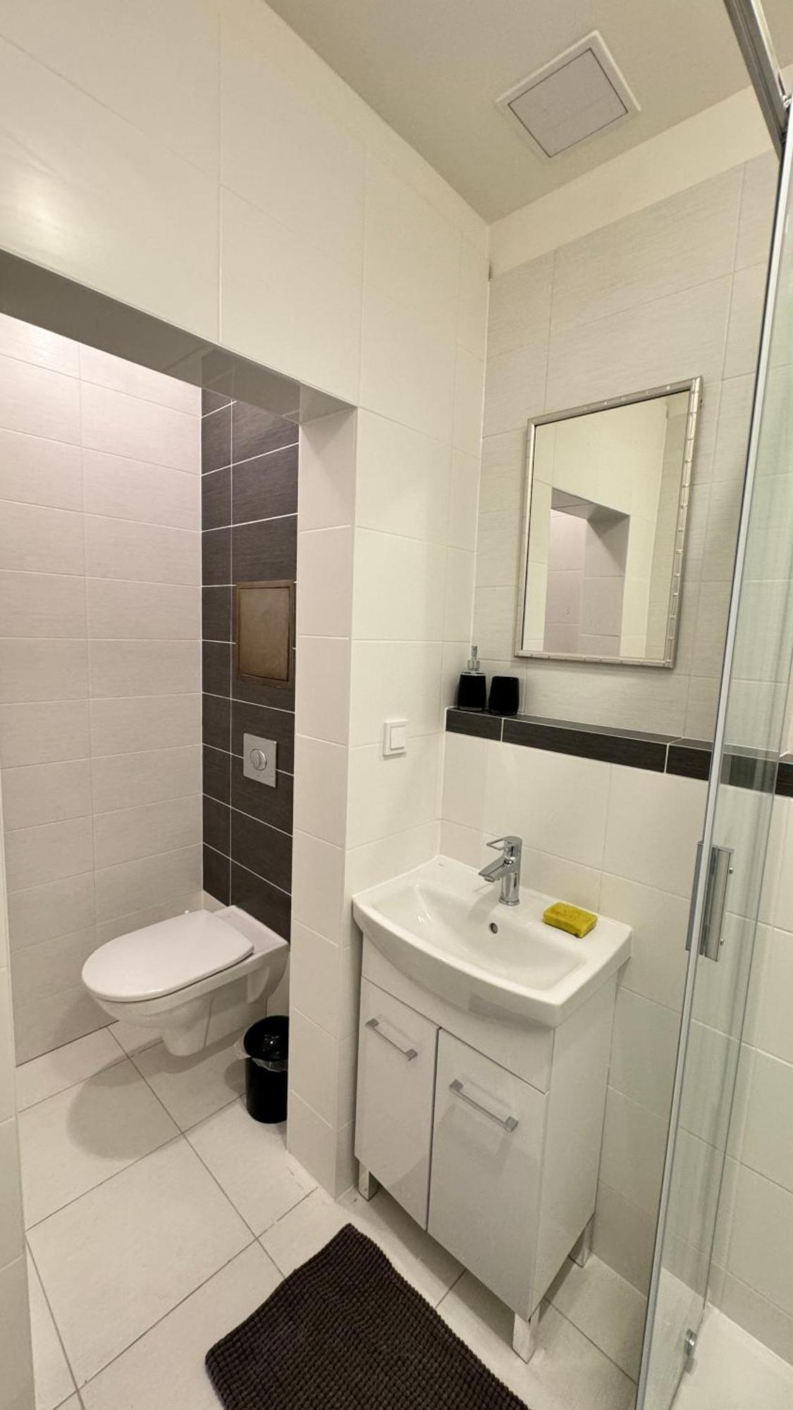 Apartment Jeseniova Prag