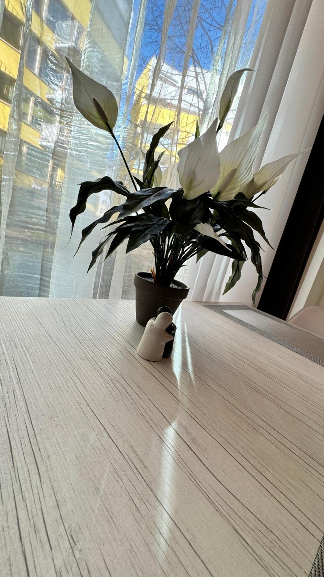 Apartment Jeseniova Prag