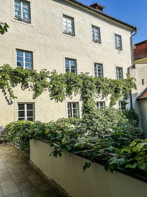 18th Century Under Castle * Prag