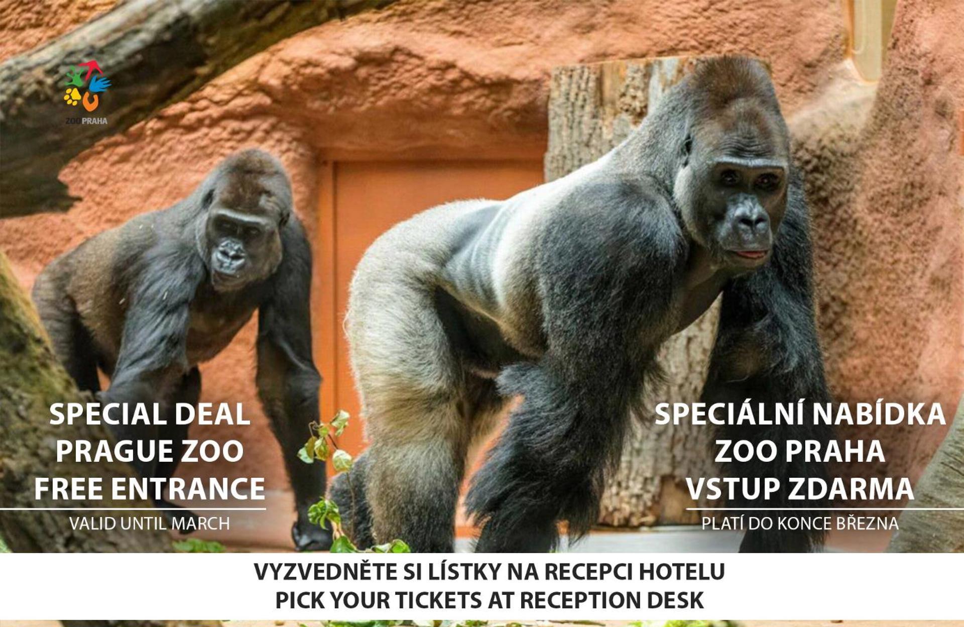 Hotel U Divadla - Czech Leading 4*