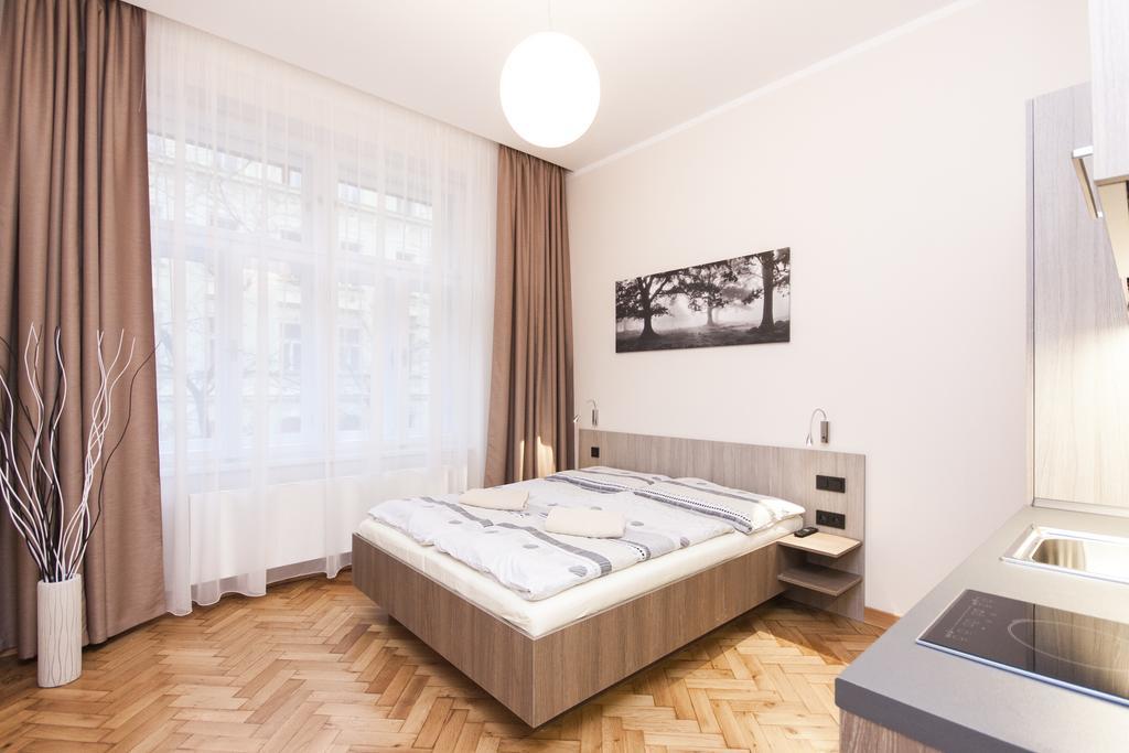 Apartment Manesova Astra