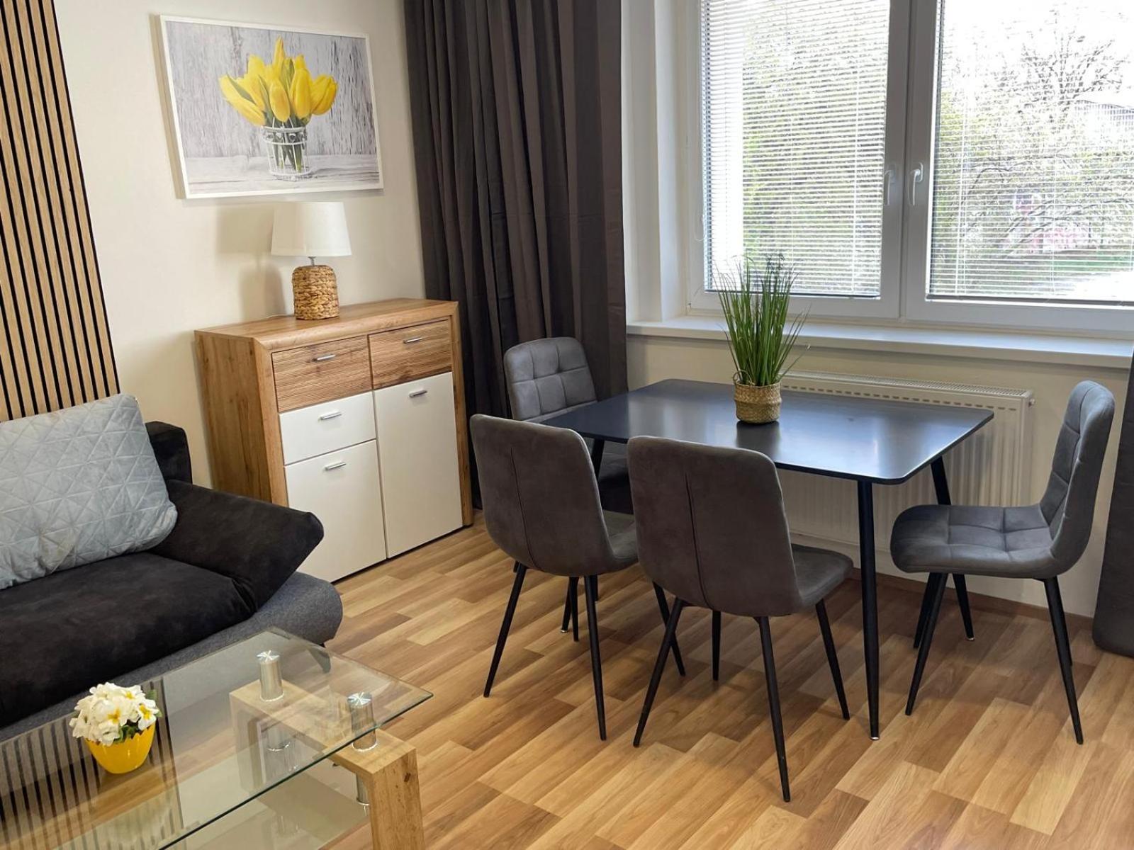 Apartmán Aparthotel Praha Praha