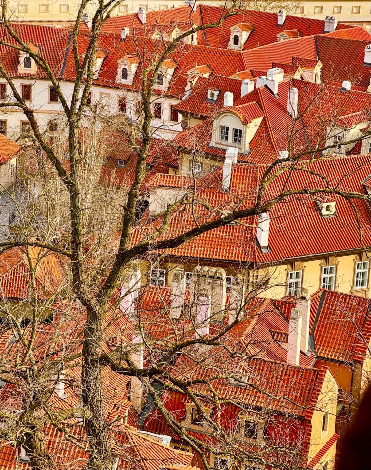 Nerudova 36 Lägenhet Prag