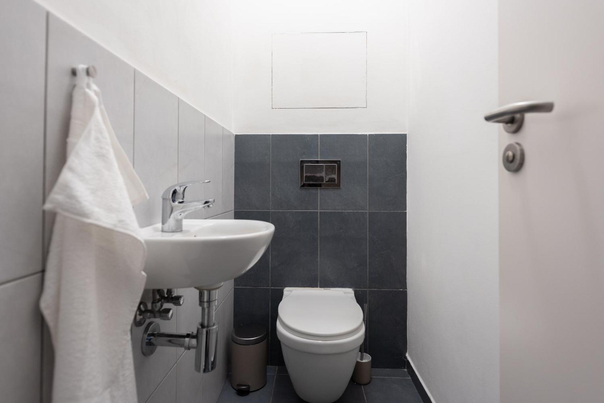 Spacious Near Karlin Square Prag