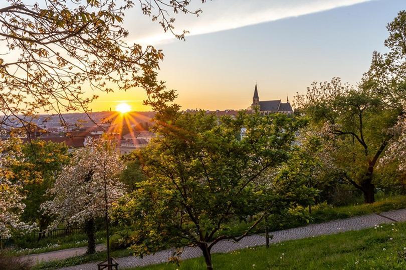 Sunset & Bloom Attic - Near Parks & Cafes Lägenhet Prag