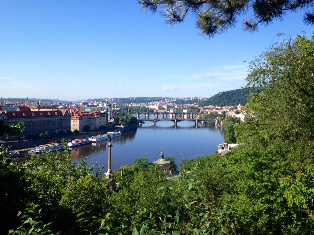 Apartman Alice Letna