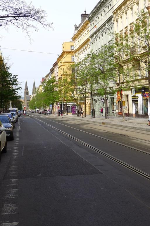 Vinohrady Ii Lejlighed Prag