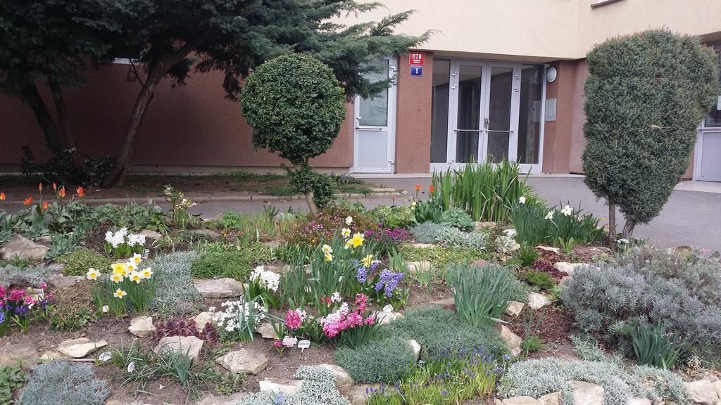 Veles Apartment *