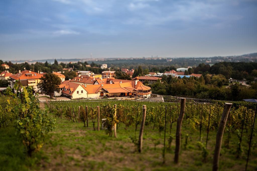 Vinice Salabka Lägenhet Prag