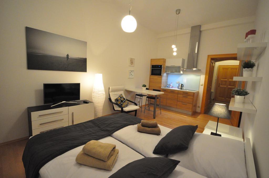 Apartment Husitska Prag