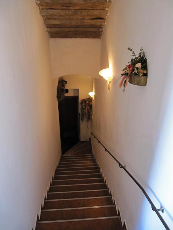 Amadeus Hotel 3*