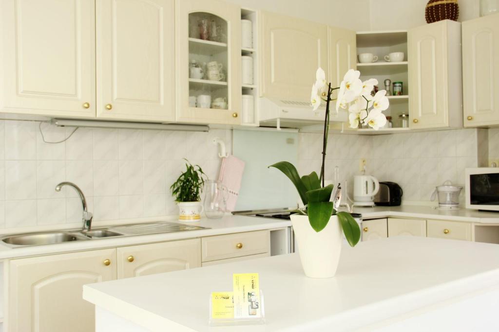 Apartment Venus Prag