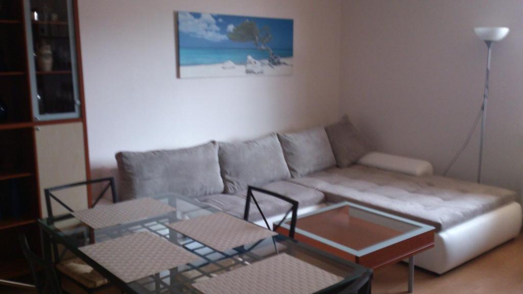 Apartment Mojmirova