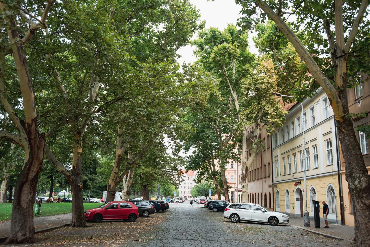 Gesse Kollarova * Prag