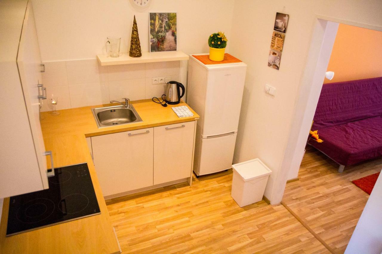 Apartmán Lidicka