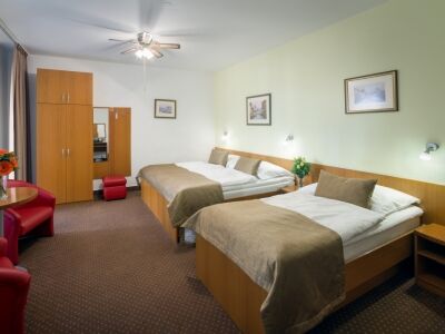 Hotel Seifert Prag