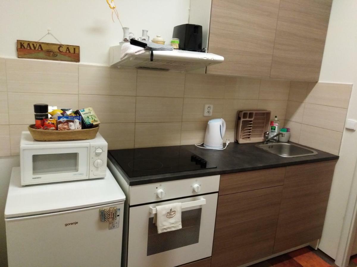 Apartment Husitska 114/74 *