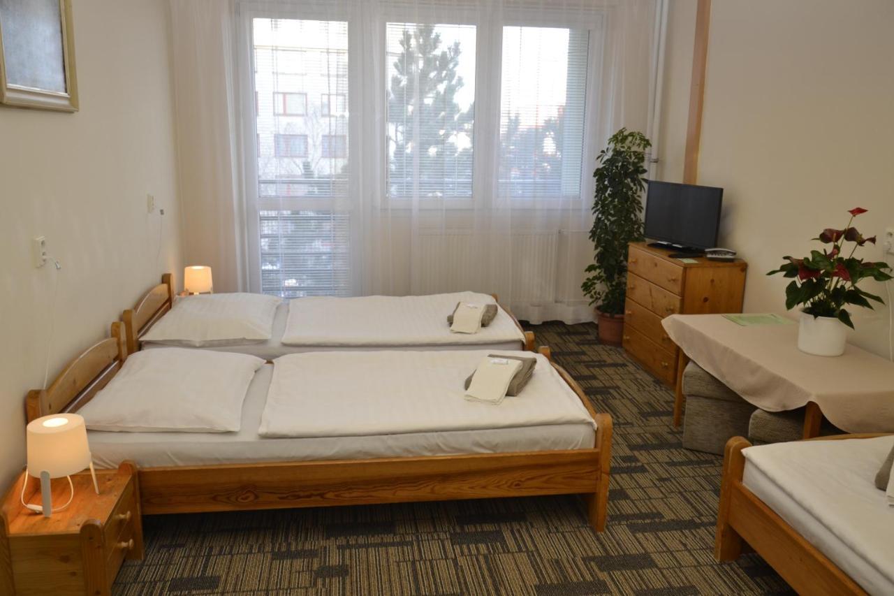 Volha Hostel *