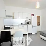 The Modern Apartment