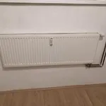 Economy Flat 18 Minutes From Vaclavske Namesti