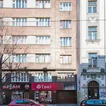 Prague City Centre Apartment Radka1