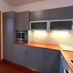 Hradebni - Terrace Apartments In The Old Town