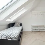 Big 4-Bedroom Flat, Terrace With Great Vitkov View