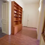 Comfort 2Bedrooms Quite Place!-Vinohrady