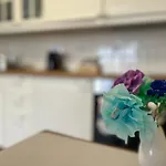 Cool Studio