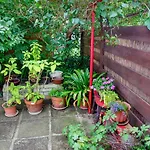 Garden In The City