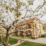 Boutique Apartman Speicher