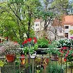 Green Balcony & King Size Bed
